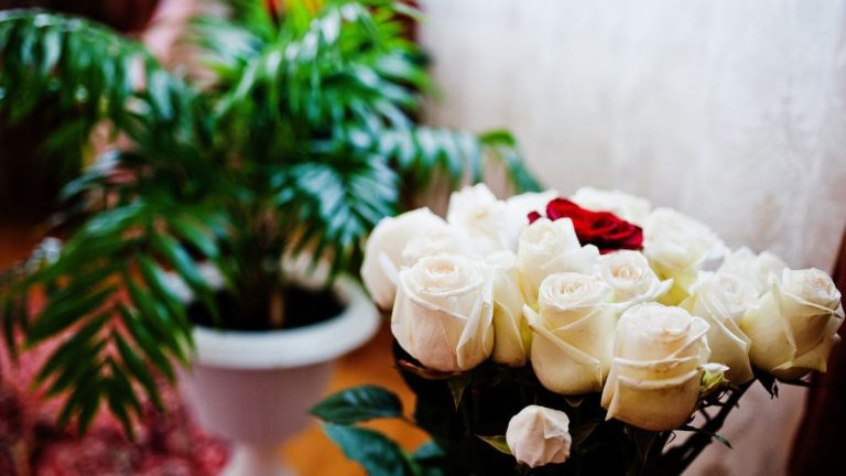 Marriage Bureau Lahore