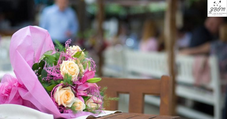 Marriage Bureau Taxila